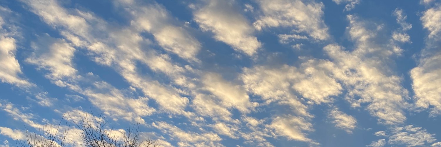 mhparish's profile banner image