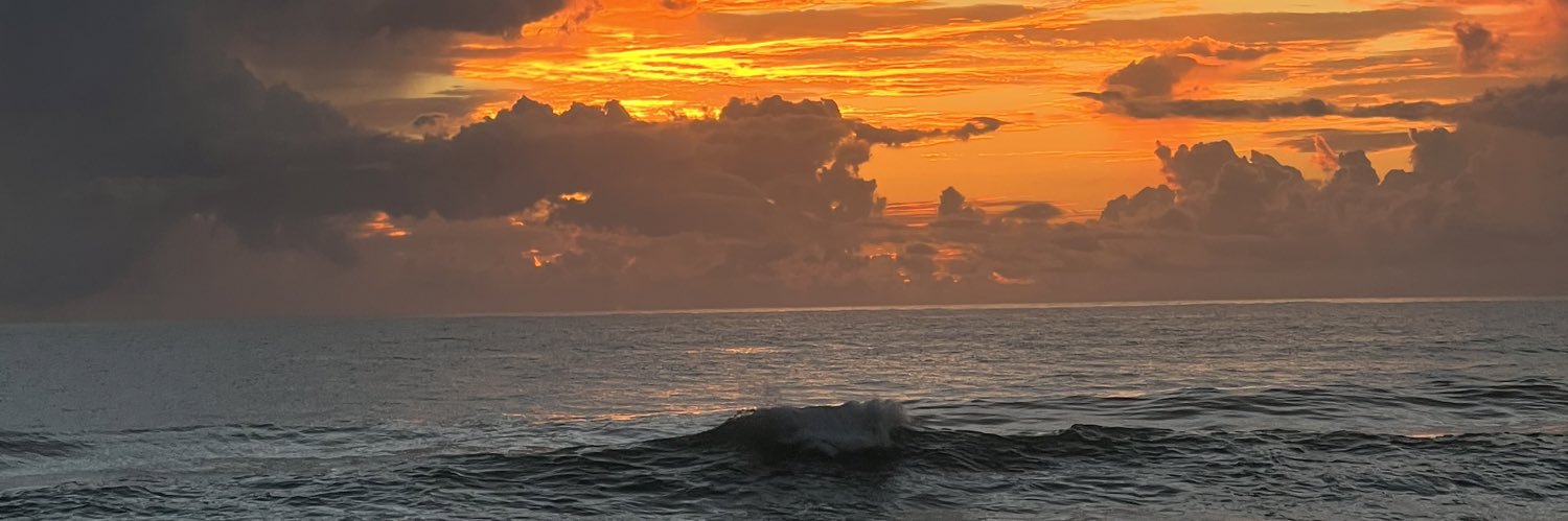 Sarah Liberatore banner