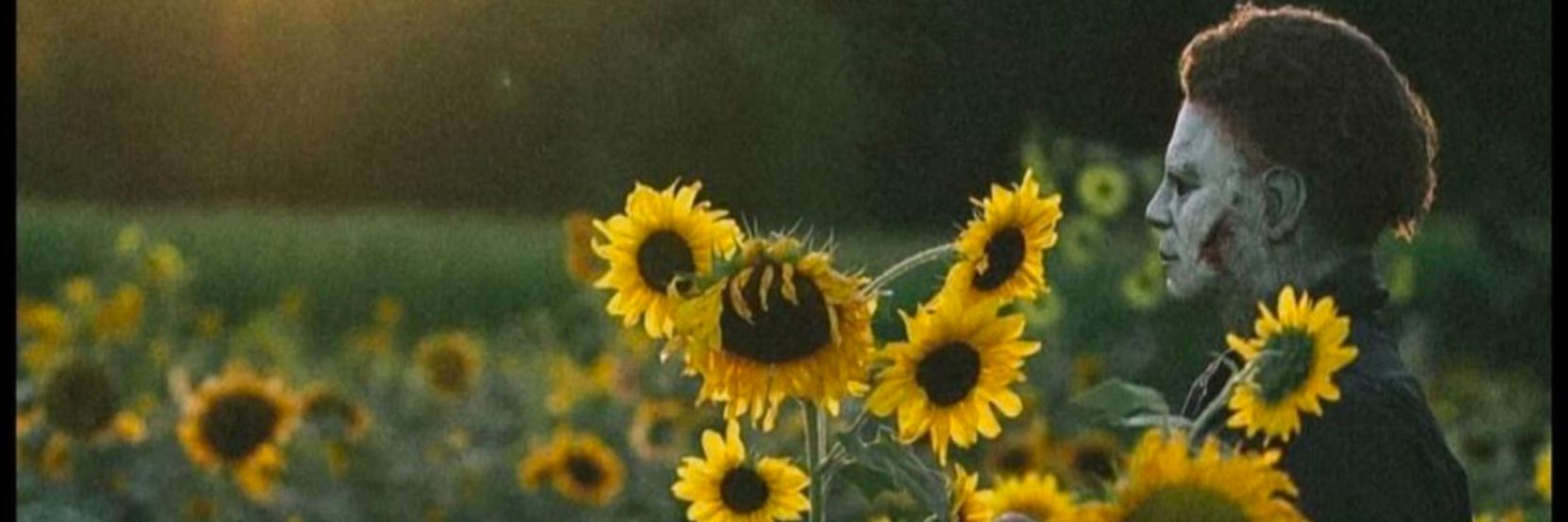 🌻 banner