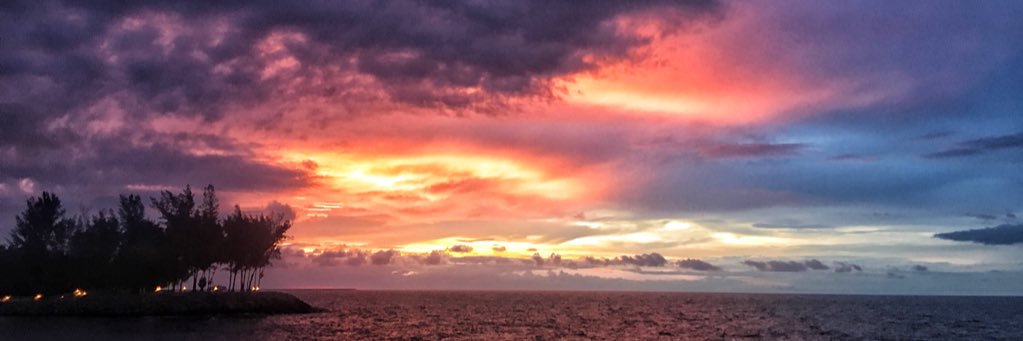 anneripcurl's profile banner image