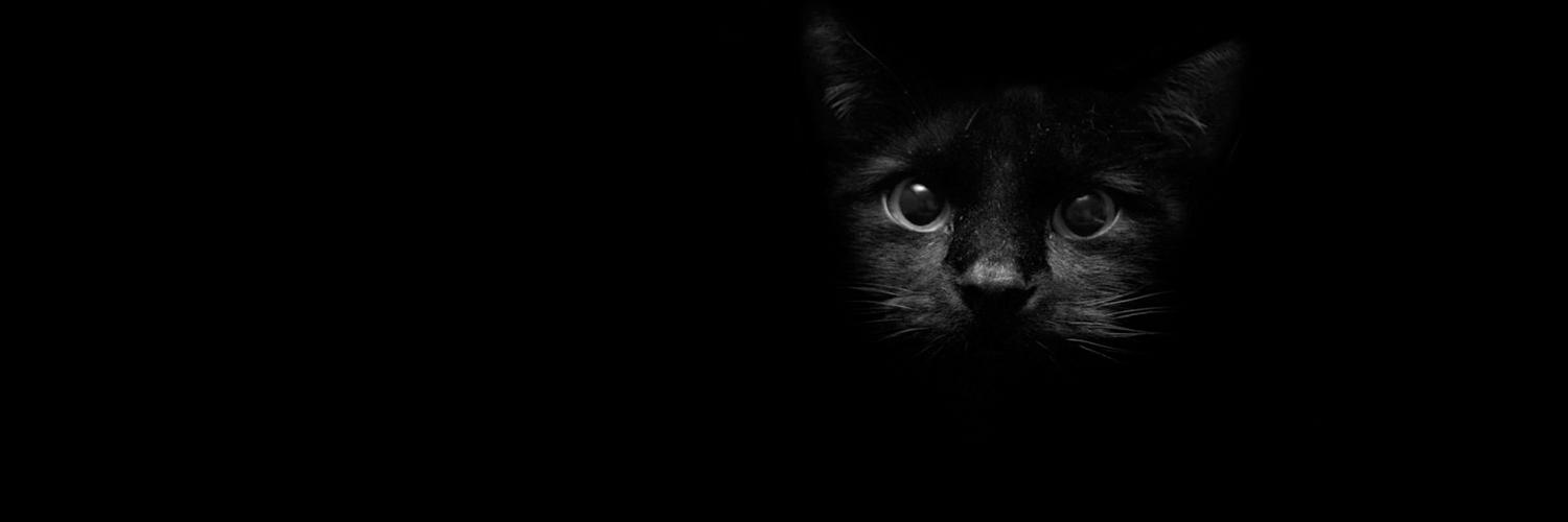 _nanananut's profile banner image