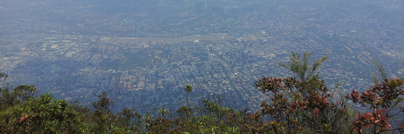 José D. Duque banner