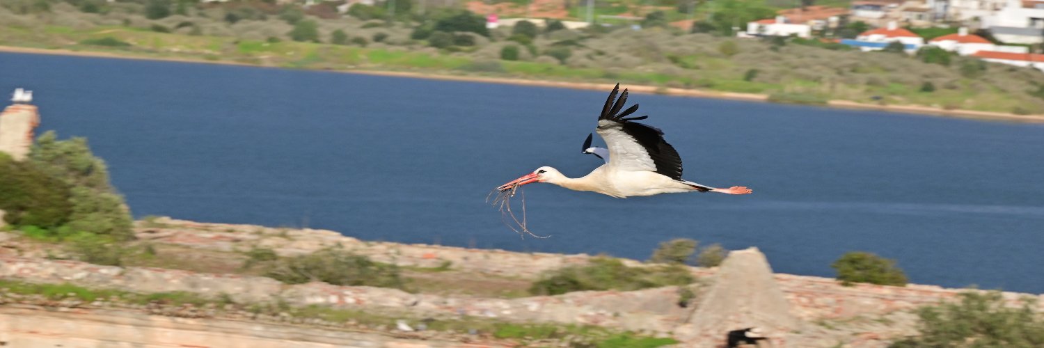 Erwin Koenen 🚲⛵🏃🏻‍♂️ banner