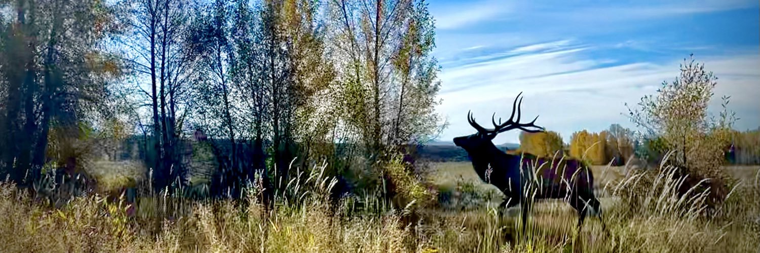 Steven Weisman banner