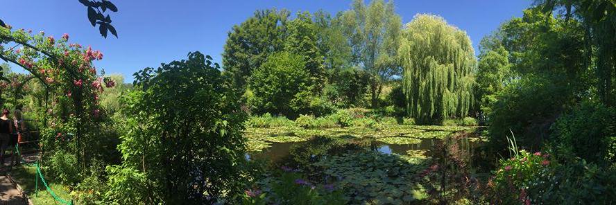 Jennifer Kaley banner