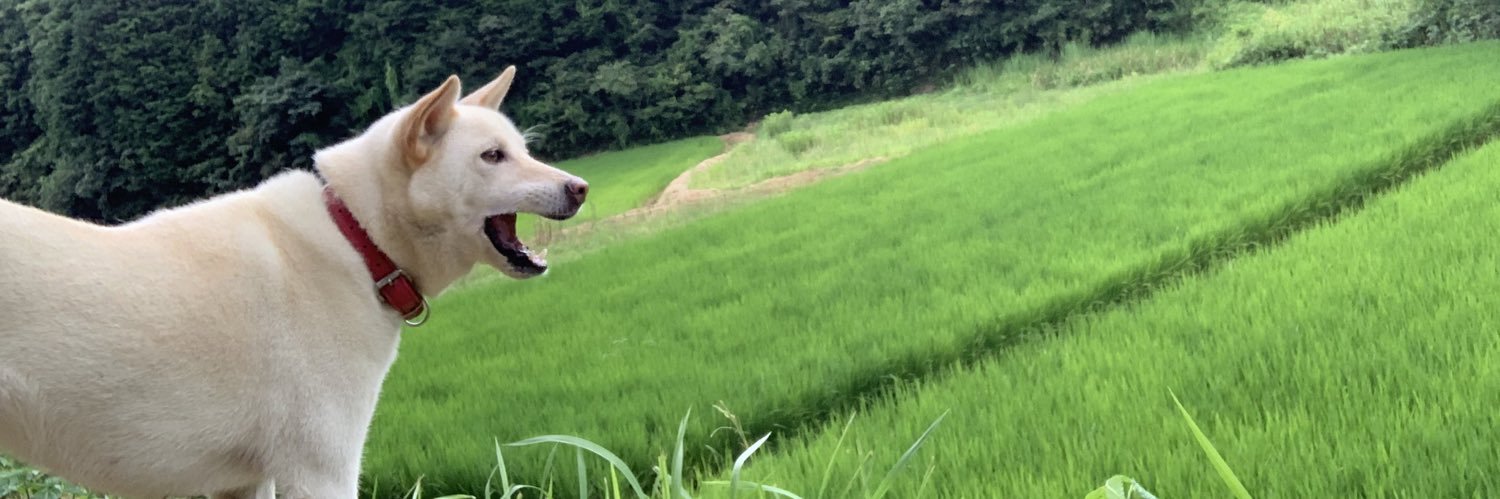 まつむらさとみ banner