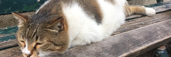 sasuga Profile Banner