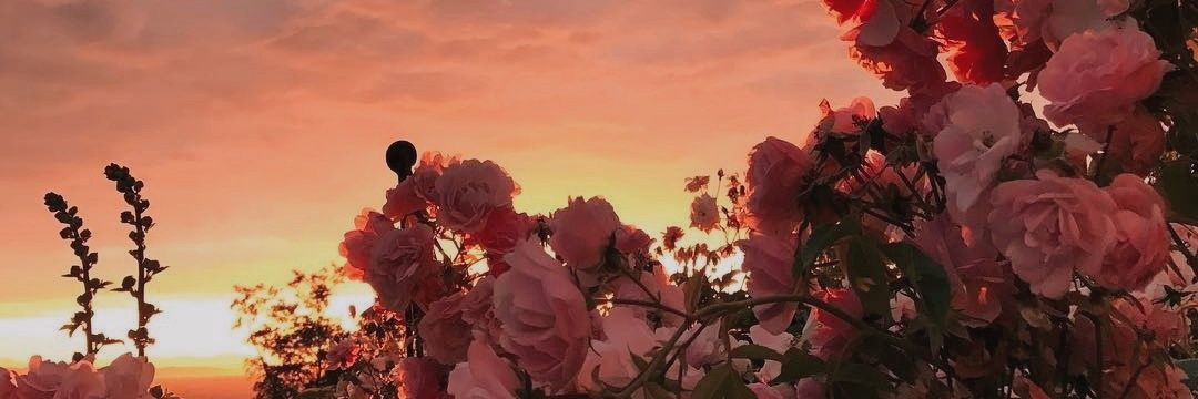 heygamaa's profile banner image