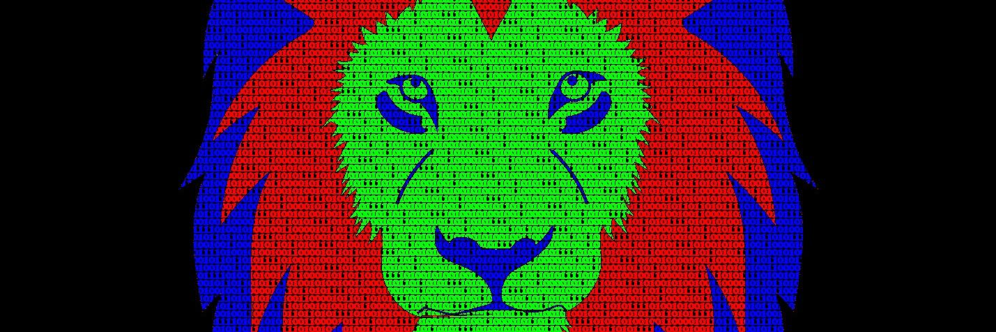 BinaryLion 🦁🌐 banner
