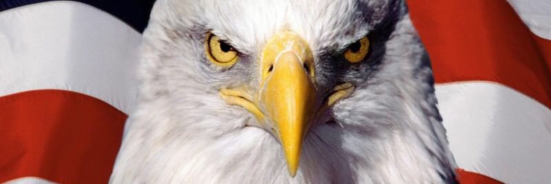RightWingRachel's profile banner image