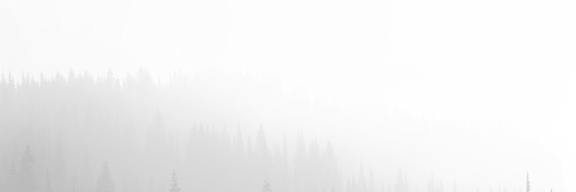 DillonNovak's profile banner image