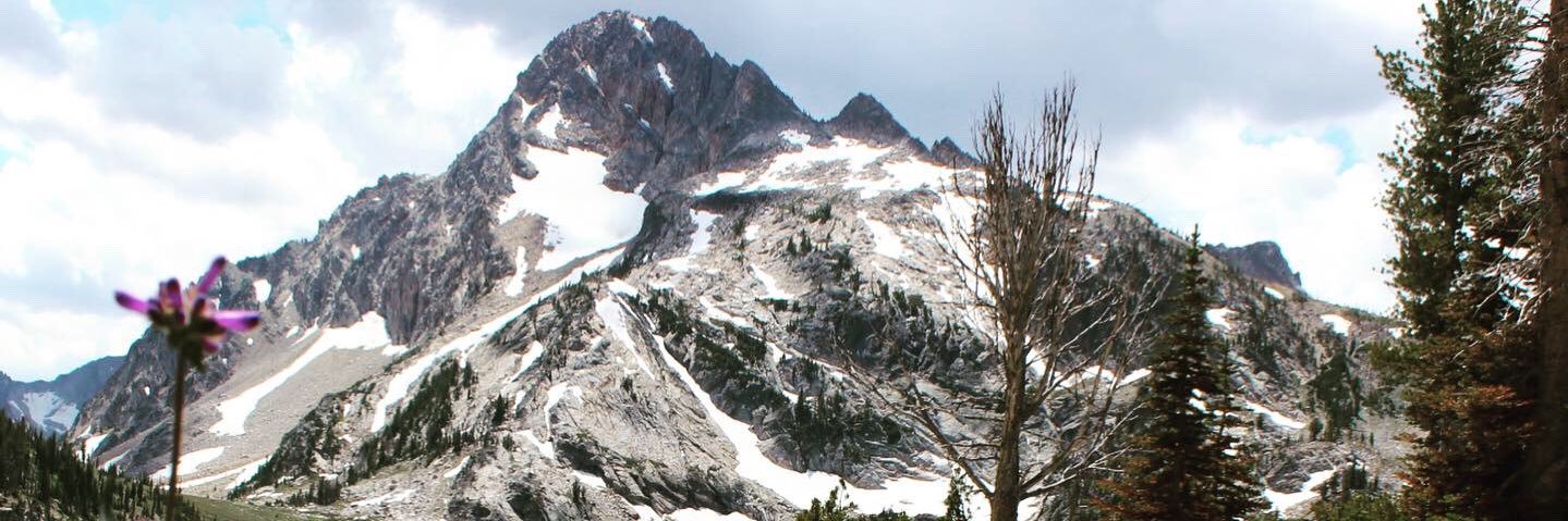 JoeyPrechtl's profile banner image