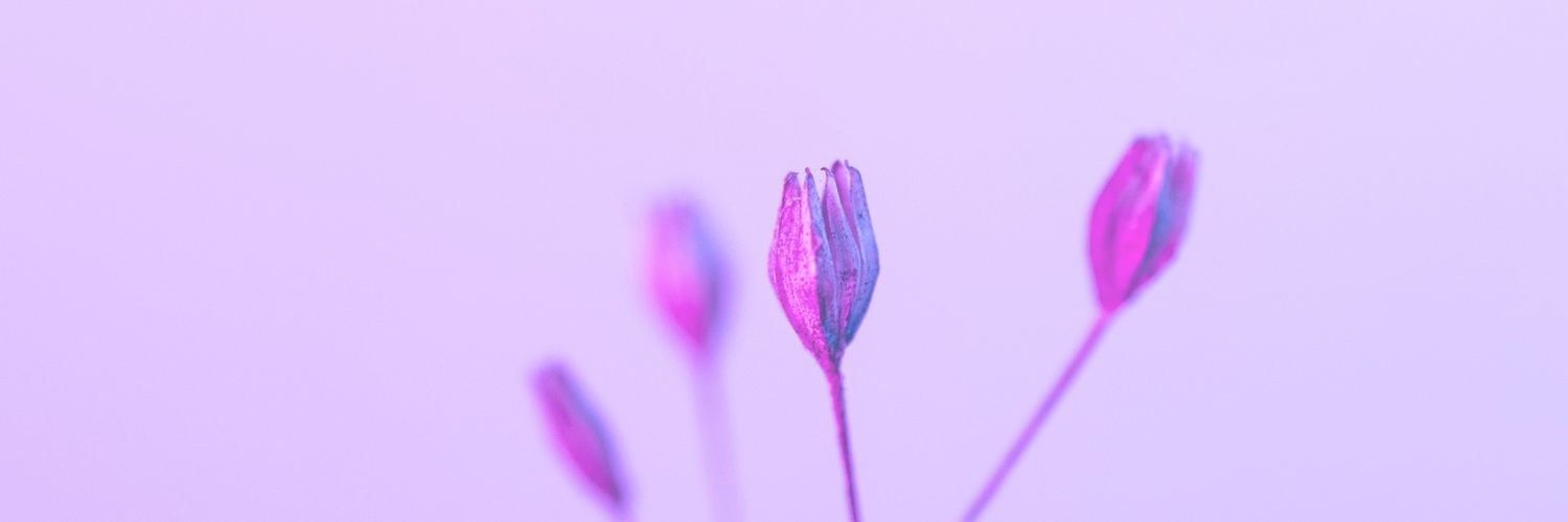 nyynaaa27's profile banner image