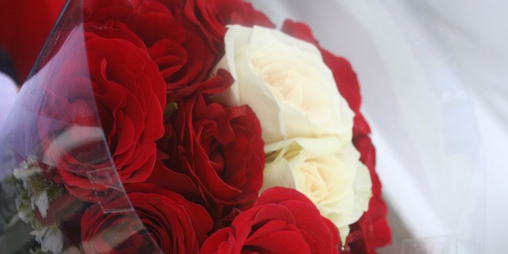 siskacbd's profile banner image