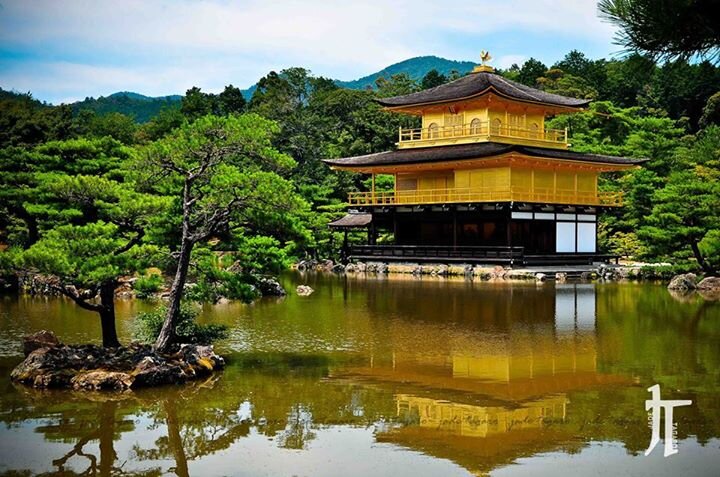 Jade_Tagaro's profile banner image