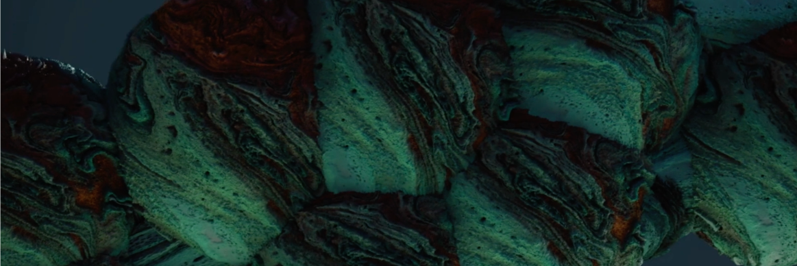 Squirrel Nation banner