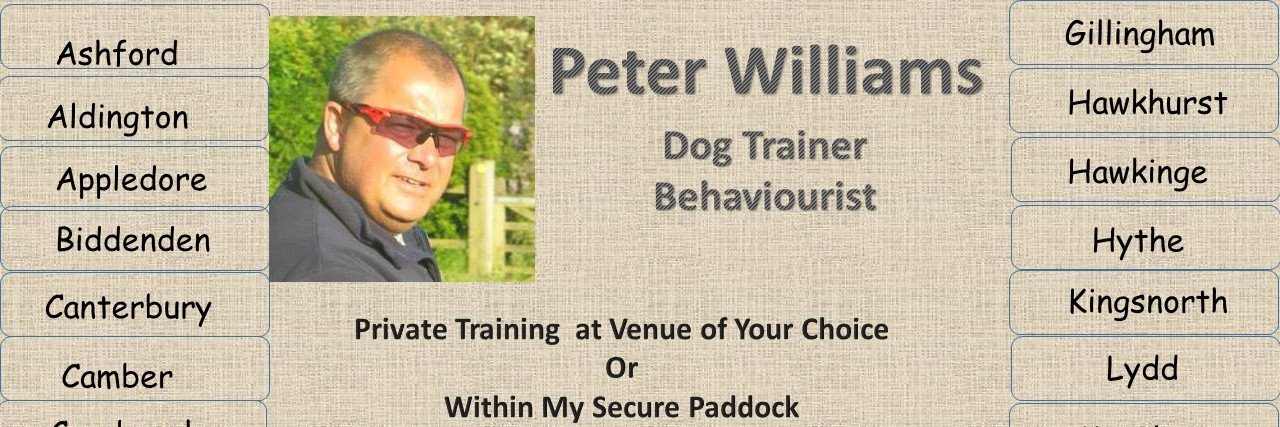 pawdogtraining's profile banner image