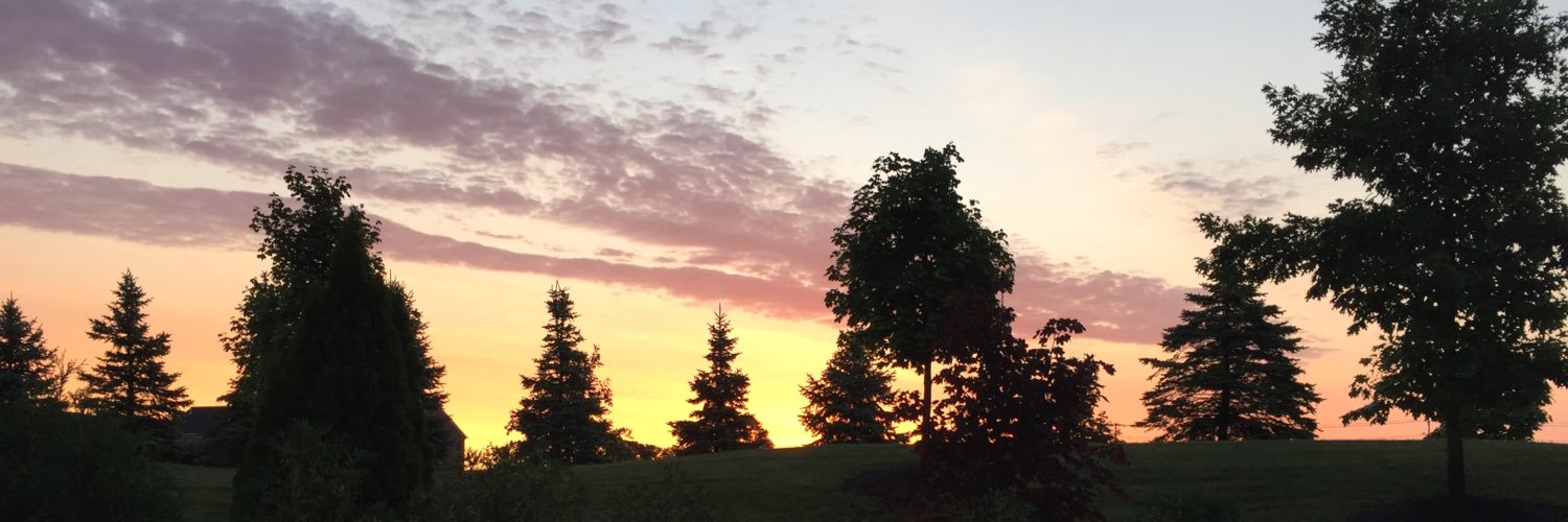 Dr. Jackie Rowles banner