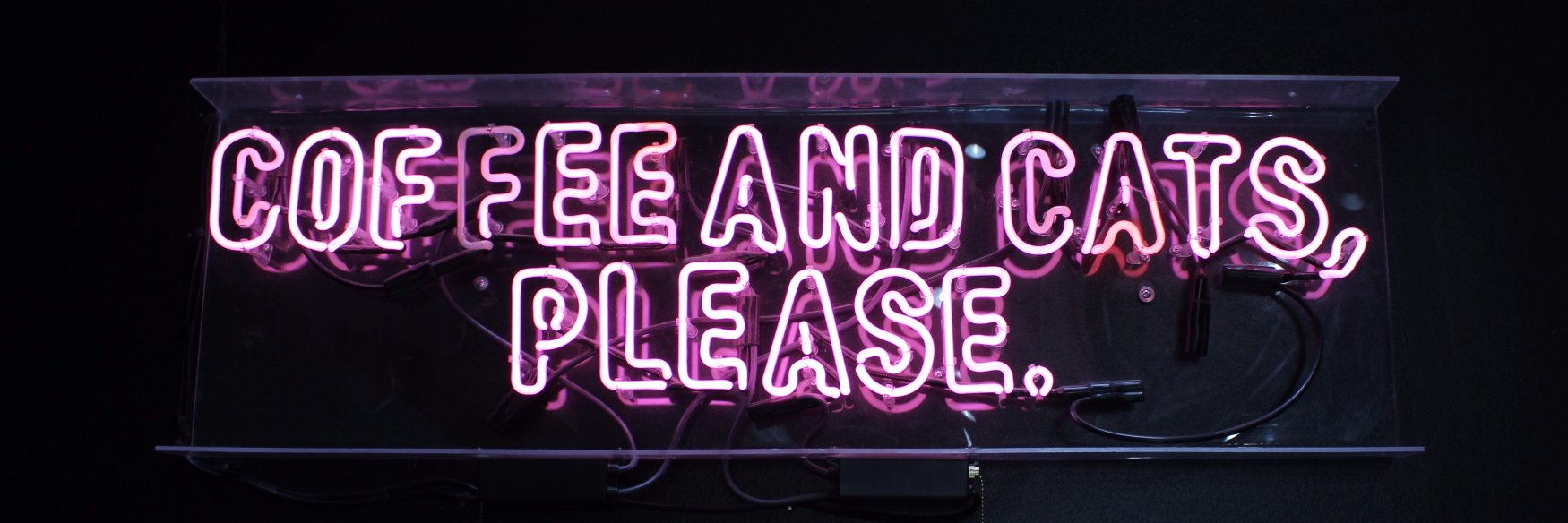 kaileyyroseee's profile banner image