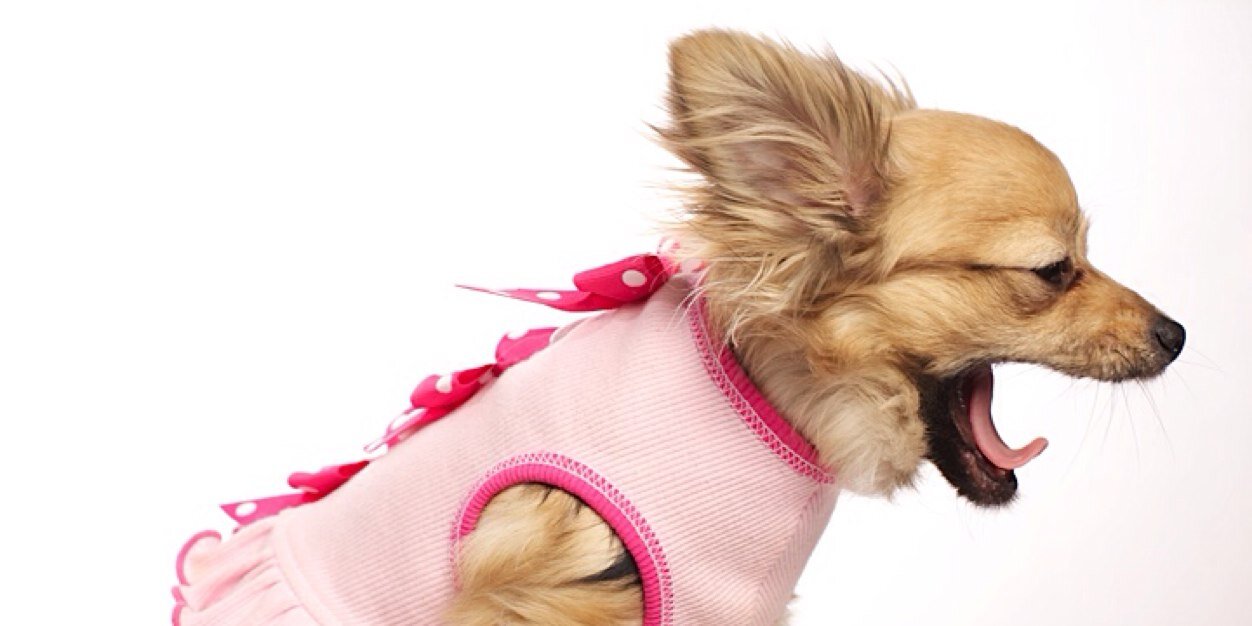 chefLiana's profile banner image