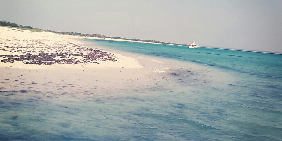 VicArabia's profile banner image