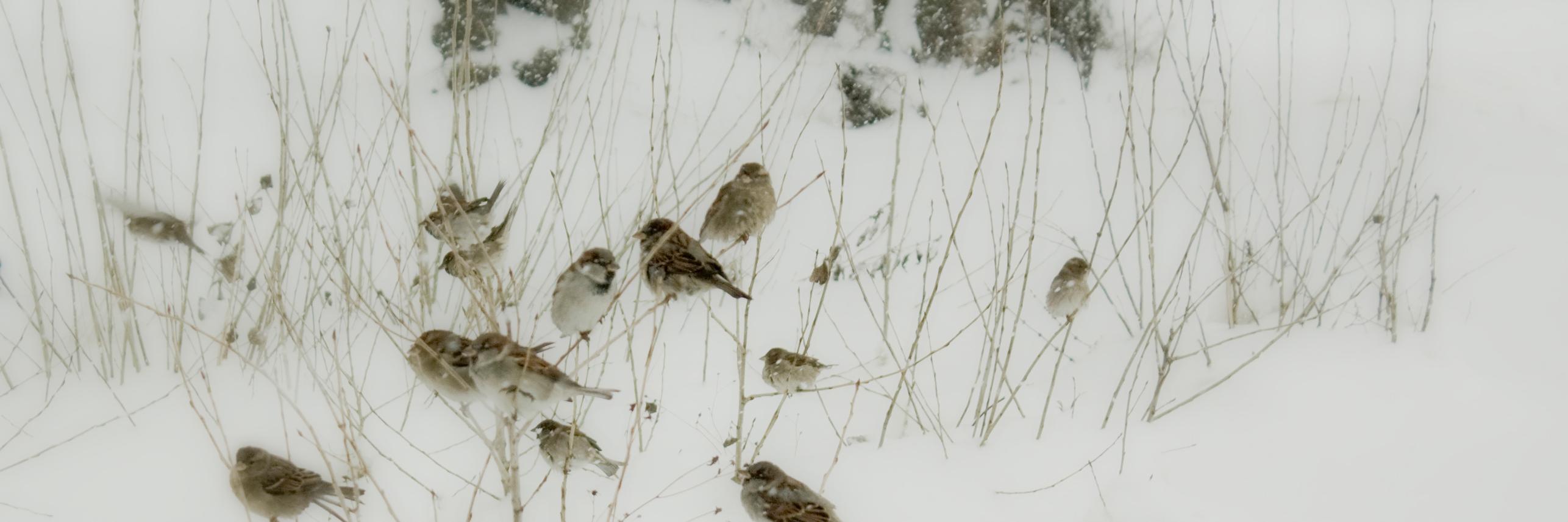 anrew2004's profile banner image