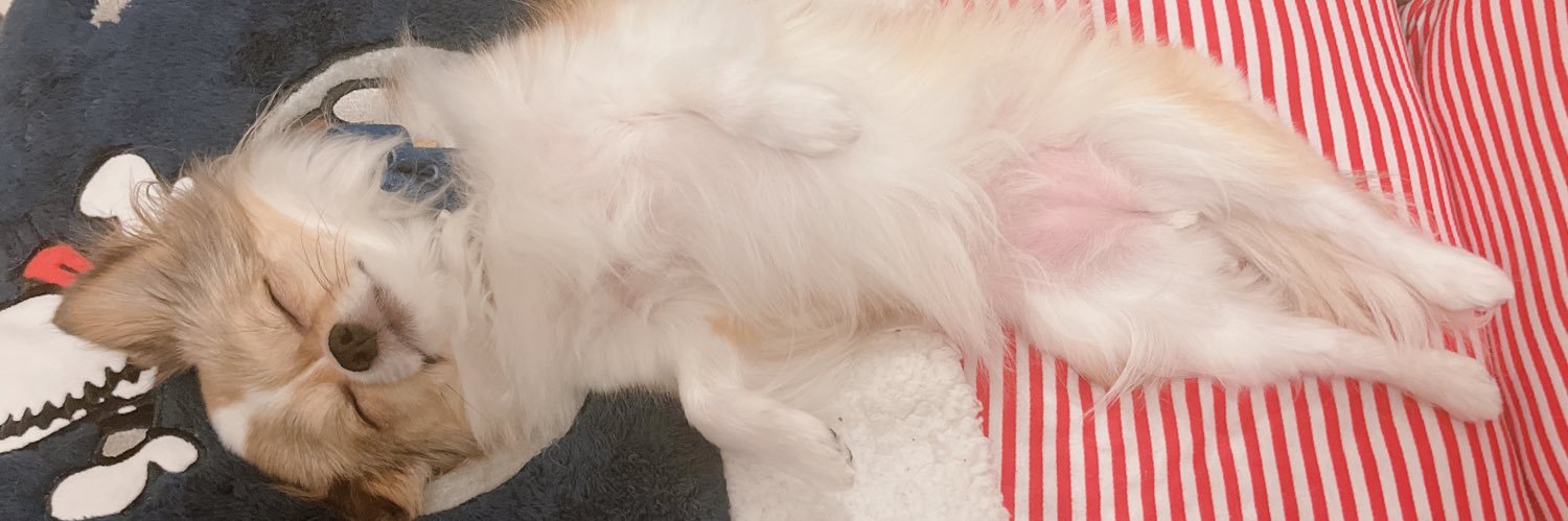 Ari_matty's profile banner image
