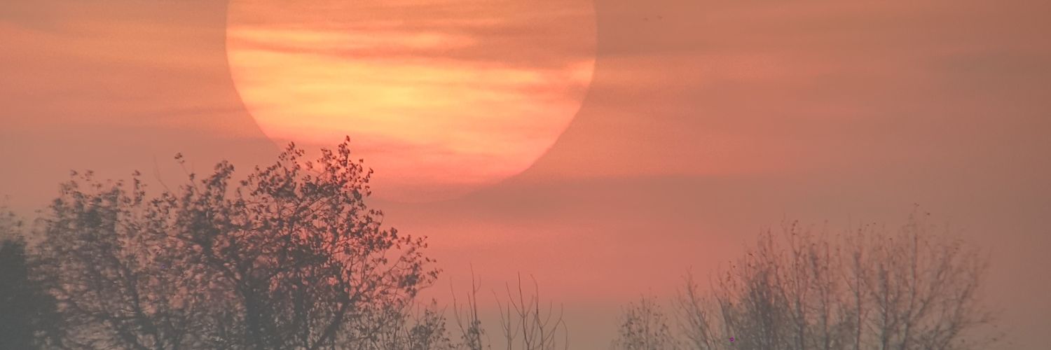 ReneBaptiste1's profile banner image