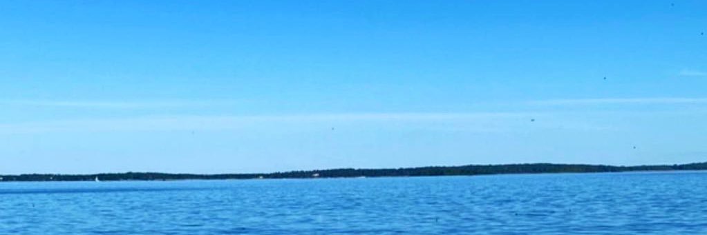 cecilyferguson's profile banner image