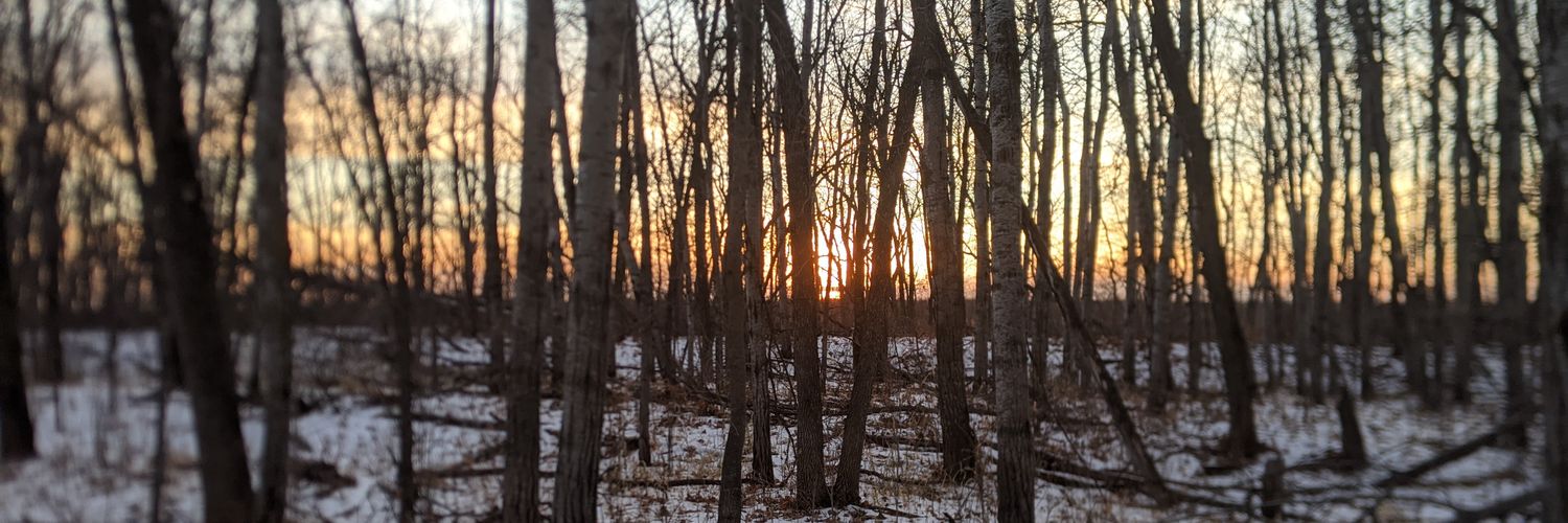 paige234's profile banner image
