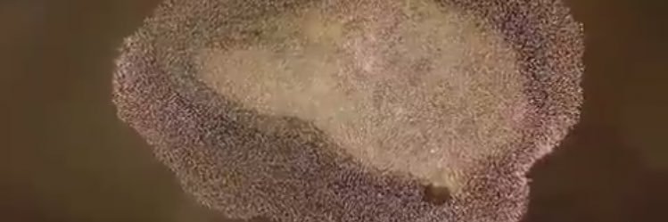 abuhamzzh's profile banner image