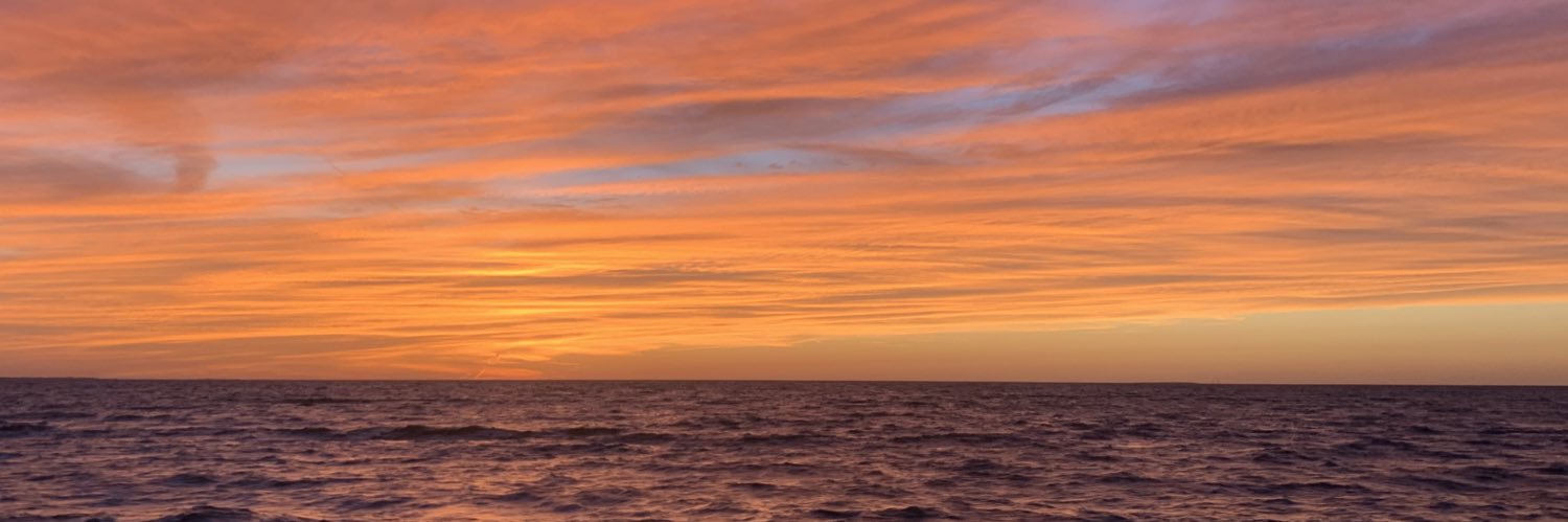 The_French_One's profile banner image