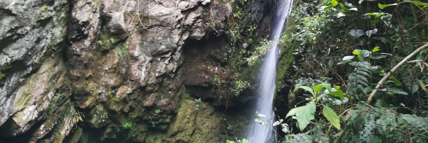 DanielEspitiaCo's profile banner image