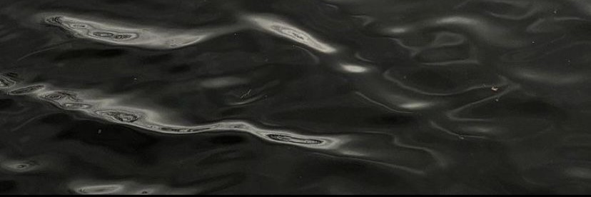 tntonlee's profile banner image