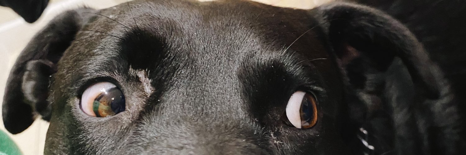chukacastaneda's profile banner image