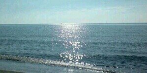 Paloma Martínez banner