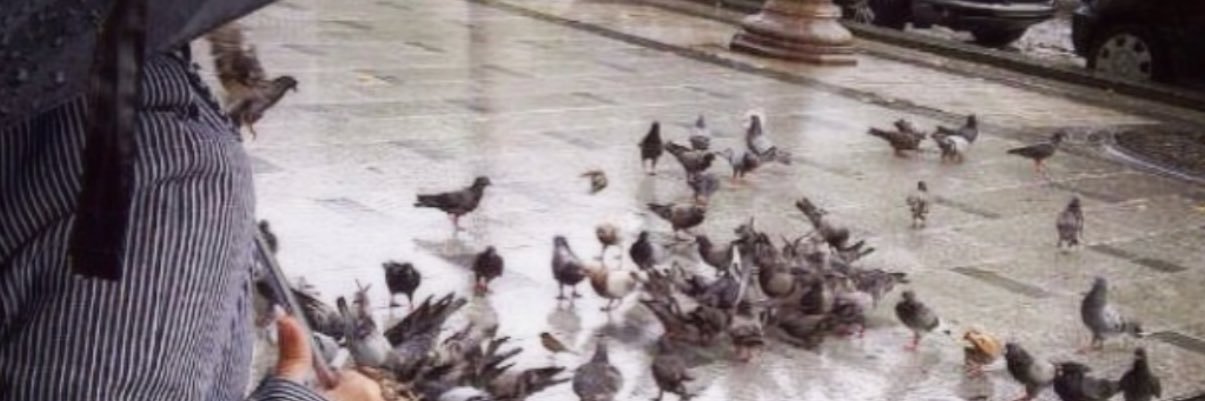 HadeelAlDuraibi's profile banner image