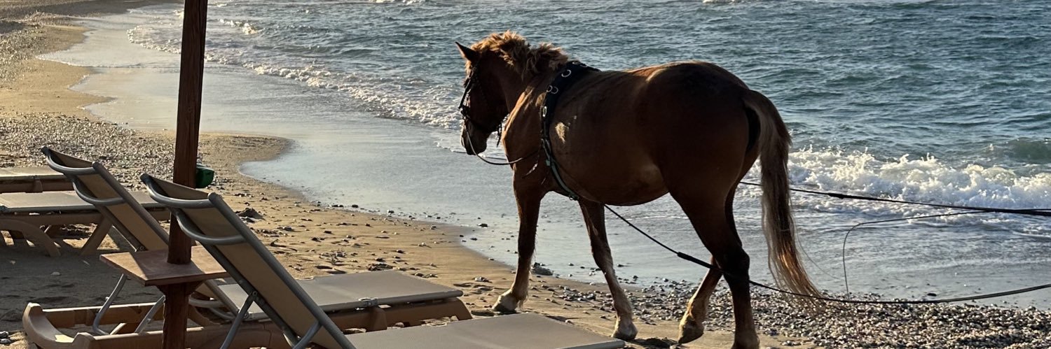 Paaatochon's profile banner image