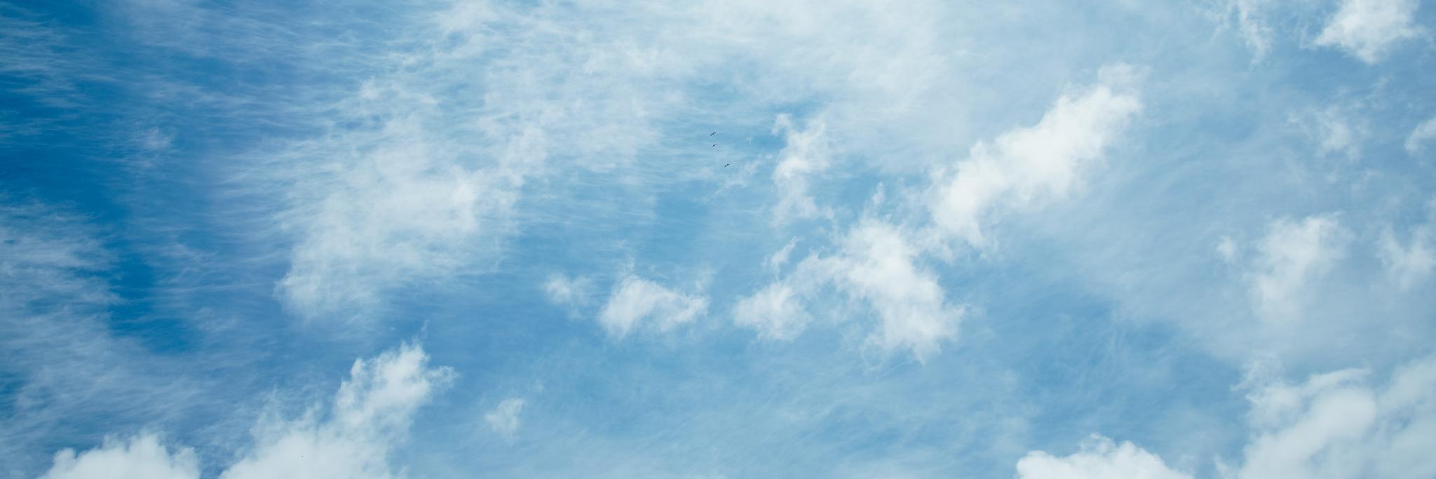 katy_roe's profile banner image