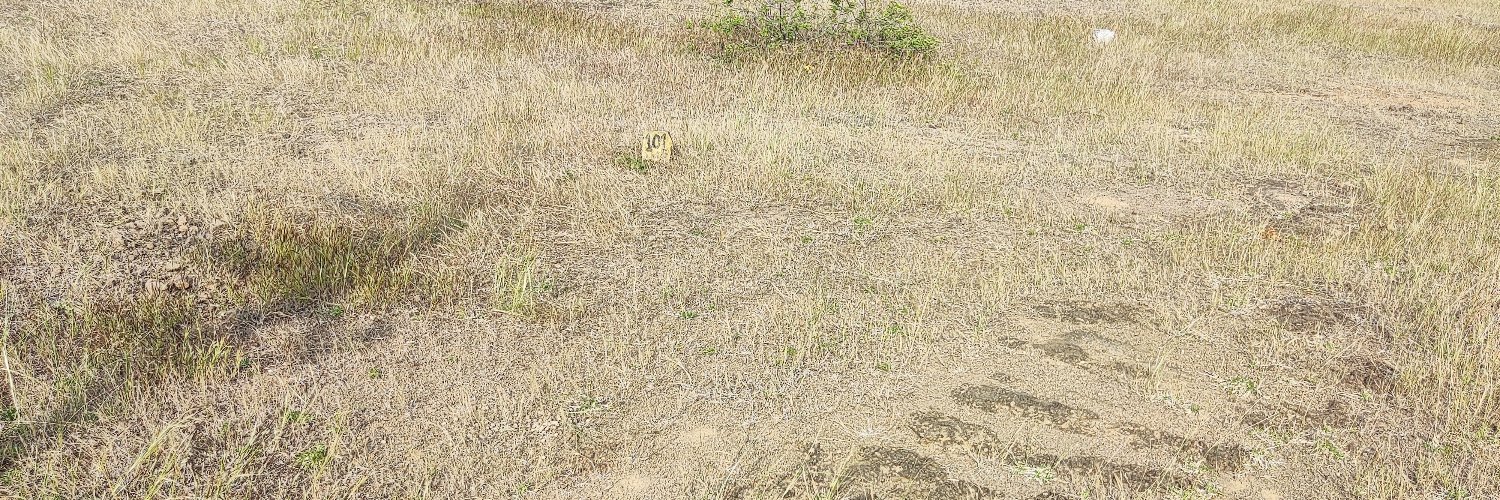 srkpnn's profile banner image