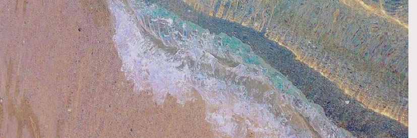liastaub's profile banner image