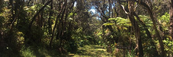 DrRachelMason Profile Banner