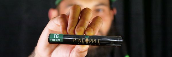 pnplexpress Profile Banner