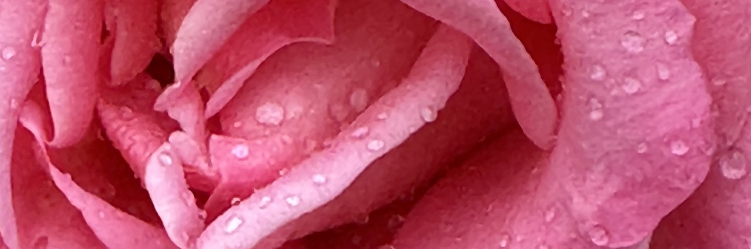 kgcornelius's profile banner image