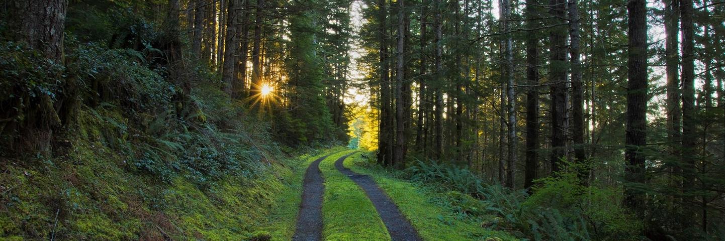 GASTROS Study banner