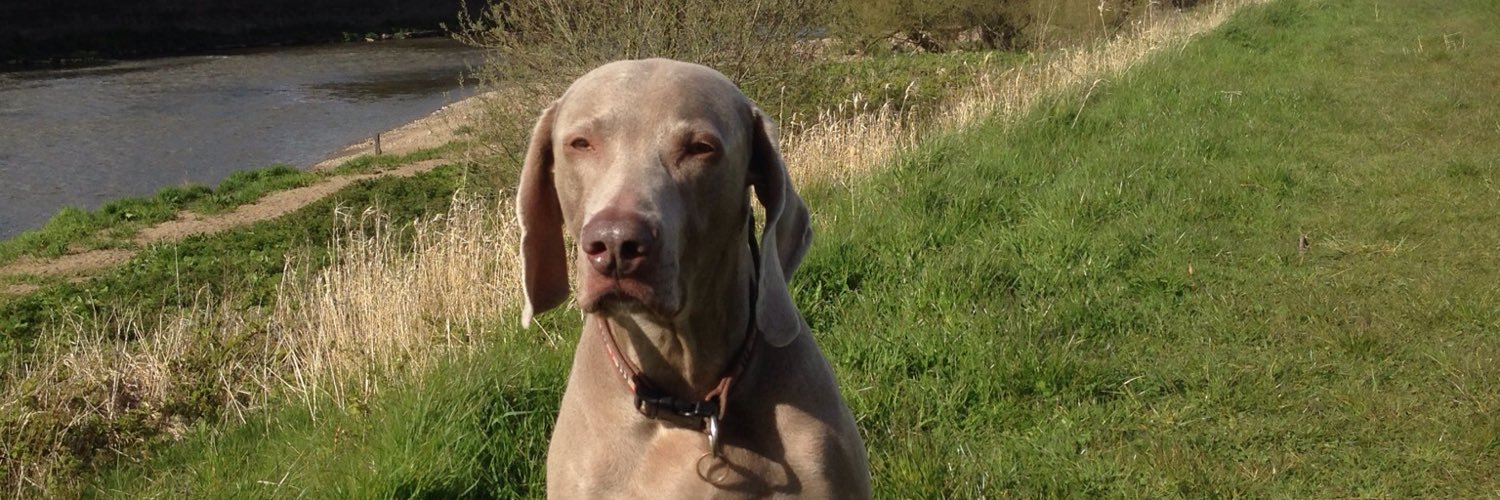IanCluney's profile banner image