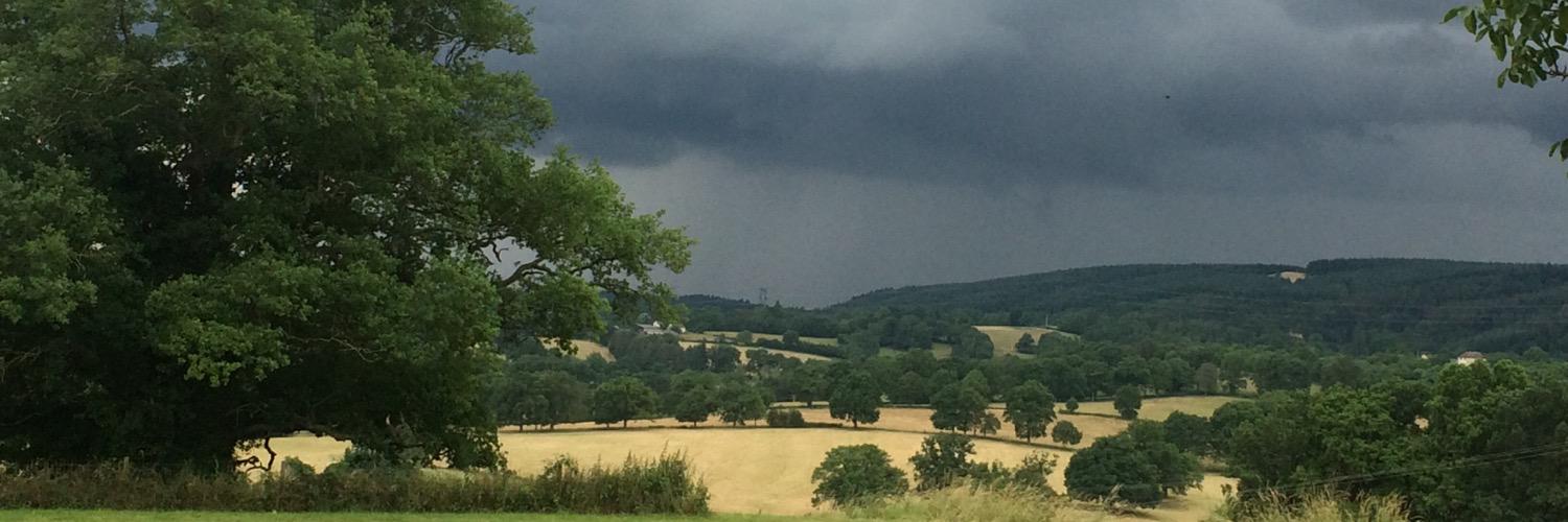 Loïc Geneste banner