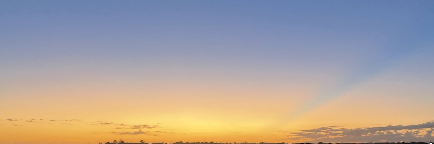 vcazenave_'s profile banner image