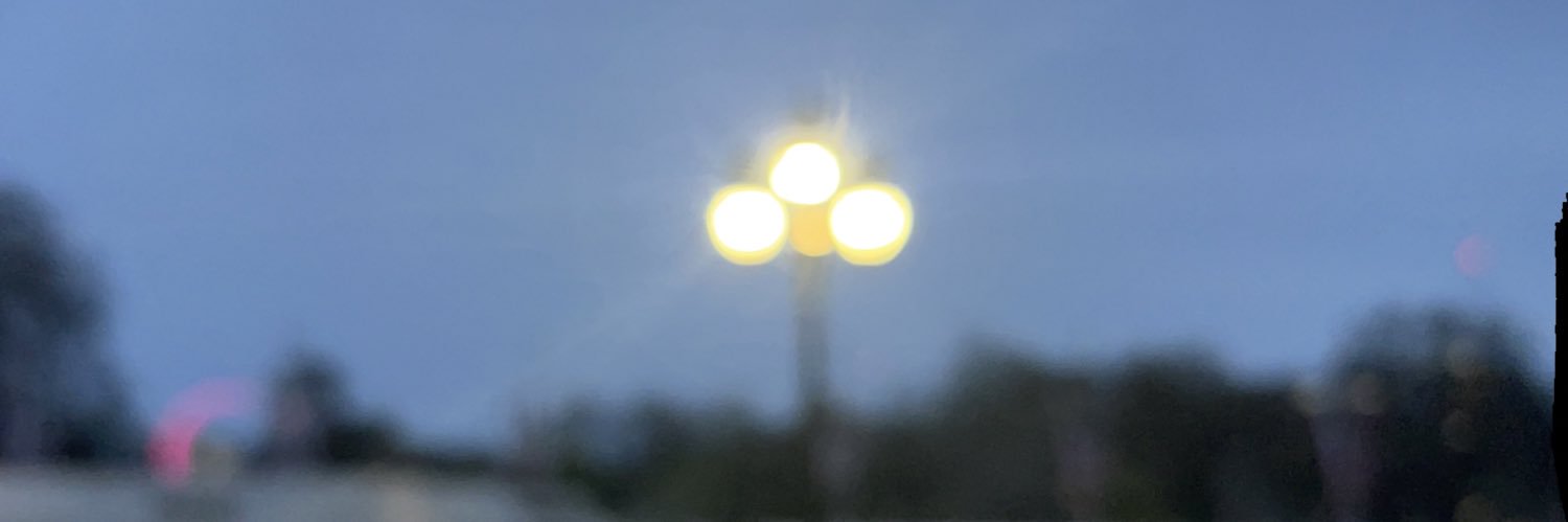 Duplemon's profile banner image