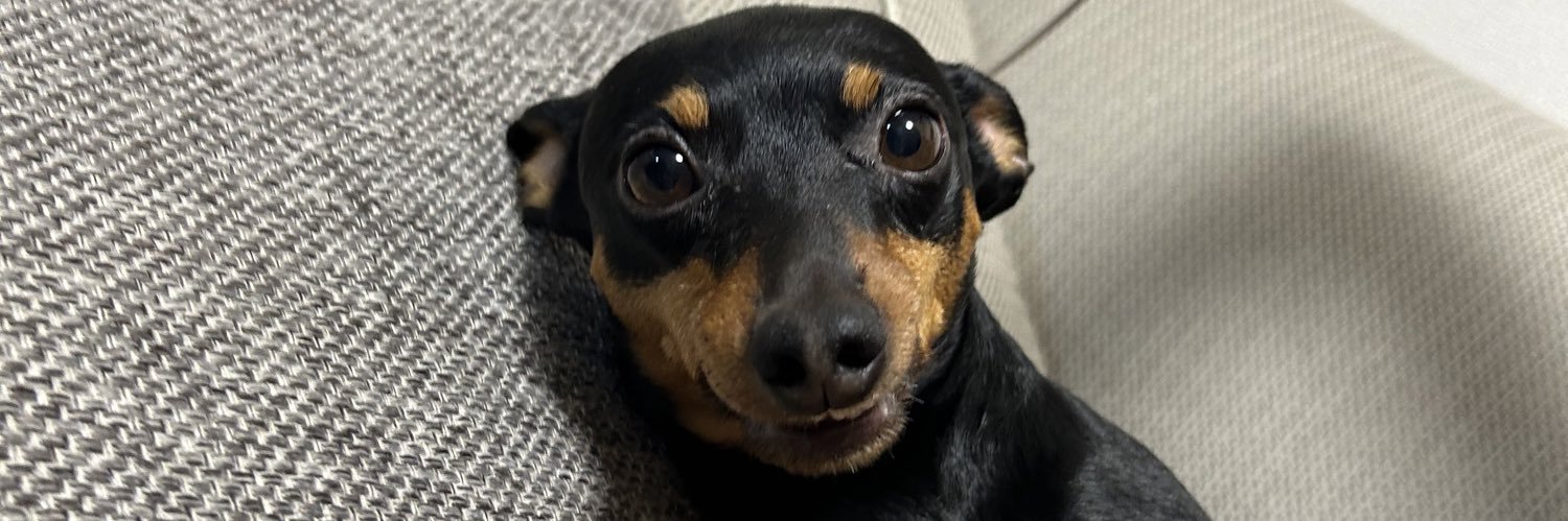 ppppppr_'s profile banner image